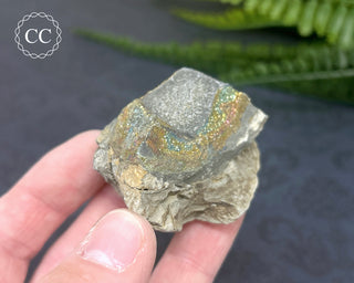 Rainbow Pyrite #13