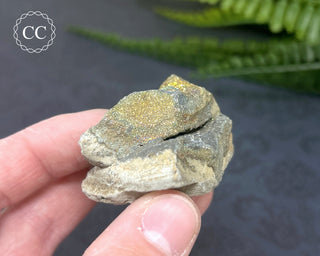 Rainbow Pyrite #13