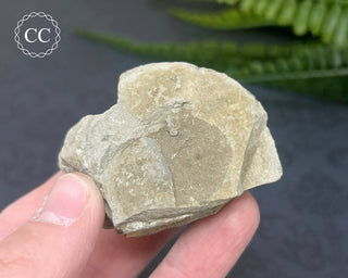 Rainbow Pyrite #13