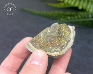 Rainbow Pyrite #14