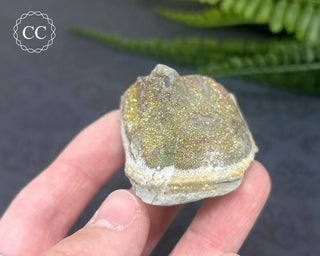 Rainbow Pyrite #14