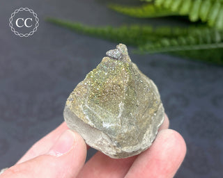 Rainbow Pyrite #16