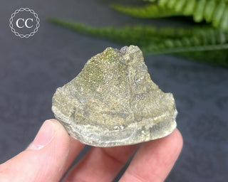 Rainbow Pyrite #16
