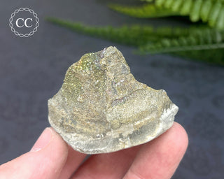 Rainbow Pyrite #16