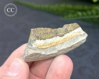 Rainbow Pyrite #17