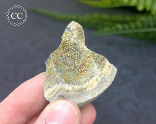 Rainbow Pyrite #18