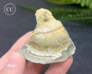 Rainbow Pyrite #18