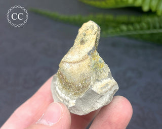 Rainbow Pyrite #18
