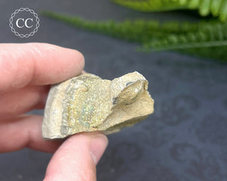 Rainbow Pyrite #18