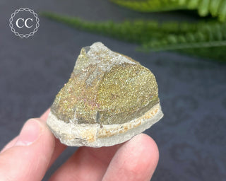 Rainbow Pyrite #19