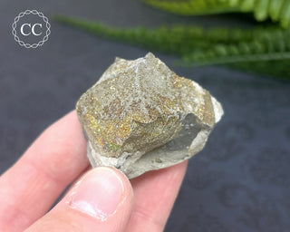 Rainbow Pyrite #19
