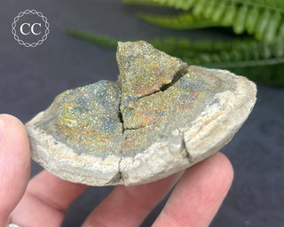 Rainbow Pyrite #20