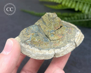 Rainbow Pyrite #20