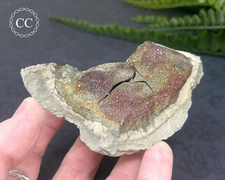 Rainbow Pyrite #3