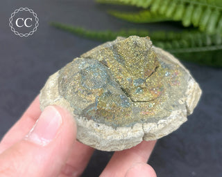 Rainbow Pyrite #20