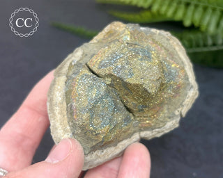 Rainbow Pyrite #20