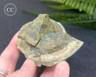 Rainbow Pyrite #20