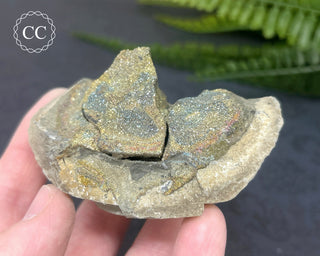 Rainbow Pyrite #20