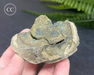 Rainbow Pyrite #20