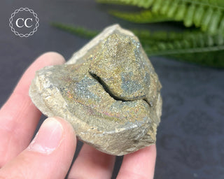 Rainbow Pyrite #20