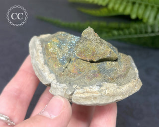 Rainbow Pyrite #20