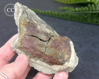 Rainbow Pyrite #3