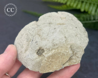 Rainbow Pyrite #20