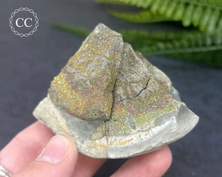 Rainbow Pyrite #21