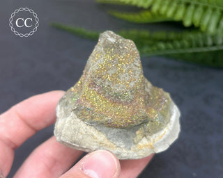 Rainbow Pyrite #21