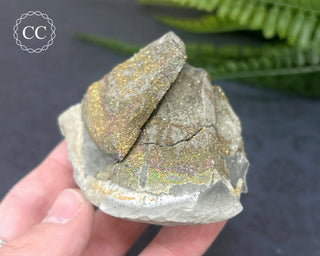 Rainbow Pyrite #21