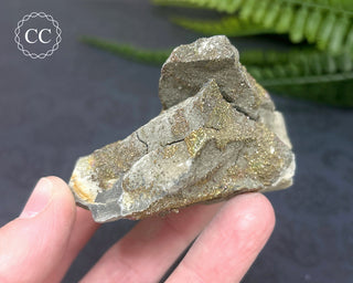 Rainbow Pyrite #21