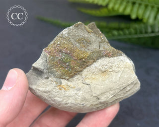 Rainbow Pyrite #21