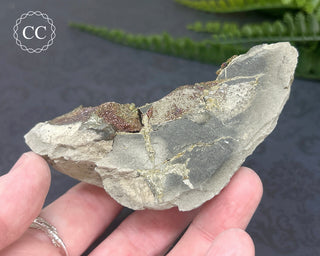 Rainbow Pyrite #3
