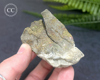 Rainbow Pyrite #21
