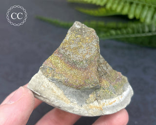 Rainbow Pyrite #21