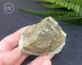Rainbow Pyrite #21