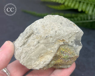 Rainbow Pyrite #21