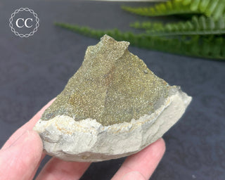 Rainbow Pyrite #4