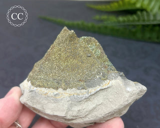 Rainbow Pyrite #4