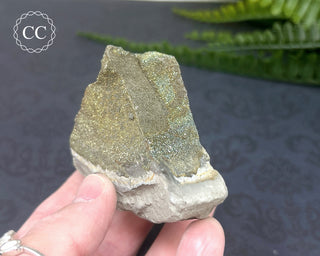 Rainbow Pyrite #4