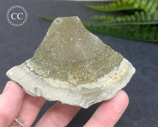 Rainbow Pyrite #4