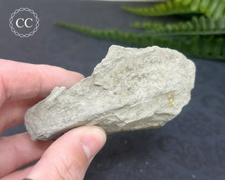 Rainbow Pyrite #4