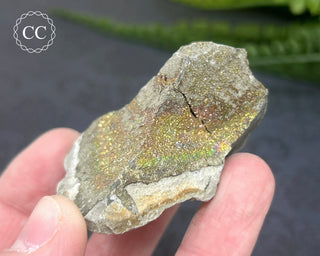 Rainbow Pyrite #5