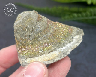 Rainbow Pyrite #5