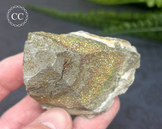 Rainbow Pyrite #5