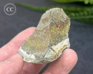 Rainbow Pyrite #5