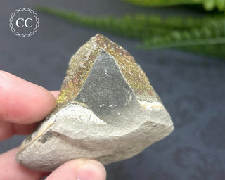 Rainbow Pyrite #5
