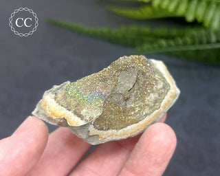 Rainbow Pyrite #6
