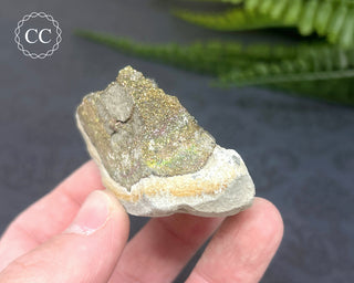 Rainbow Pyrite #6