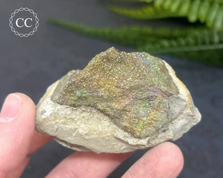 Rainbow Pyrite #6